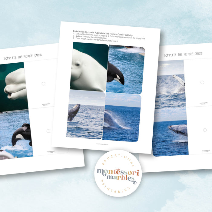 Whales Complete The Pictures