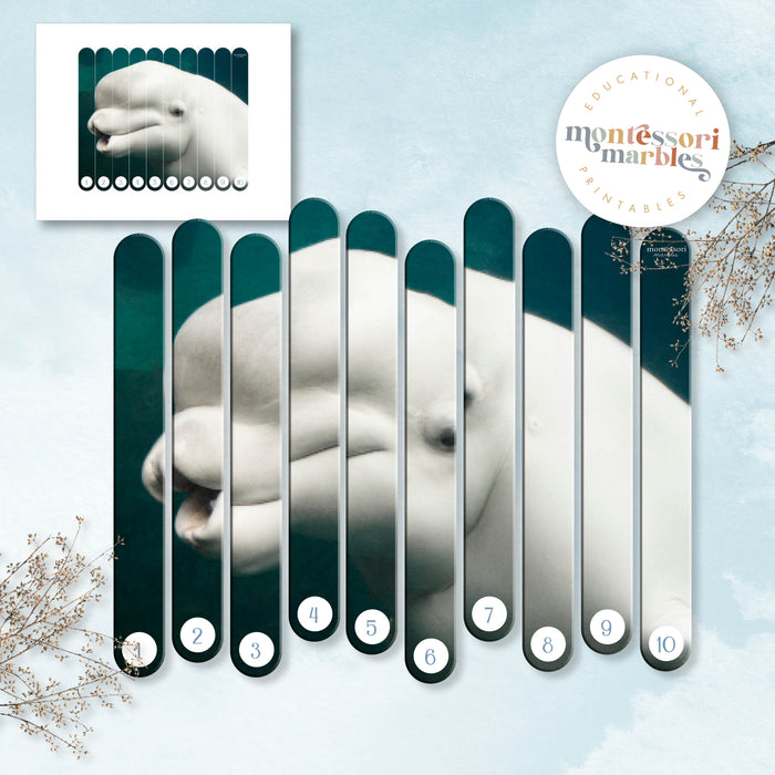 Whales Skip Counting Puzzles