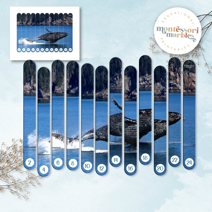 Whales Skip Counting Puzzles