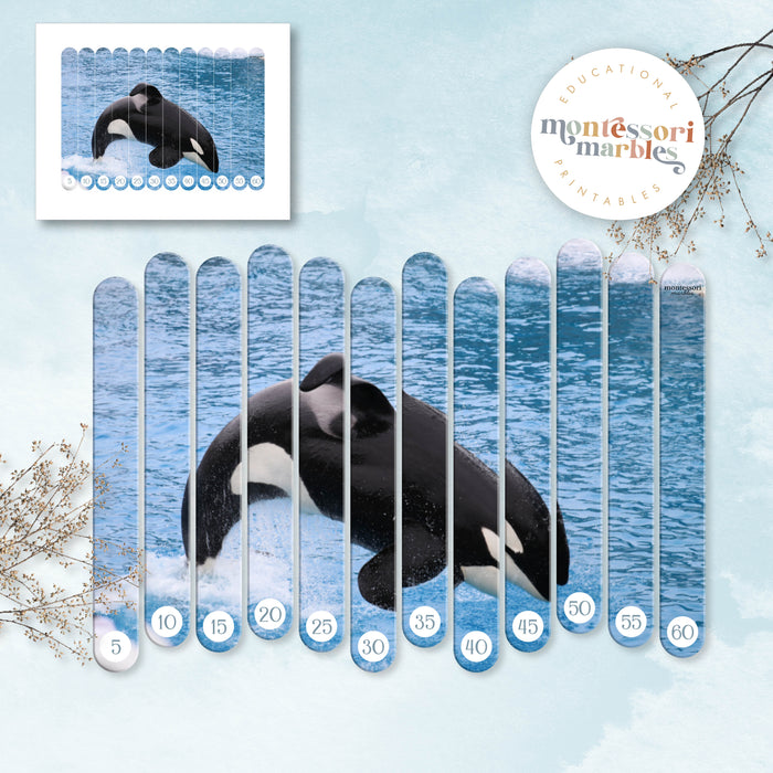 Whales Skip Counting Puzzles