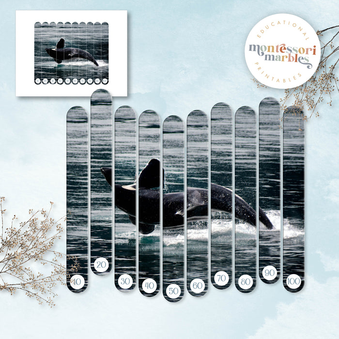 Whales Skip Counting Puzzles