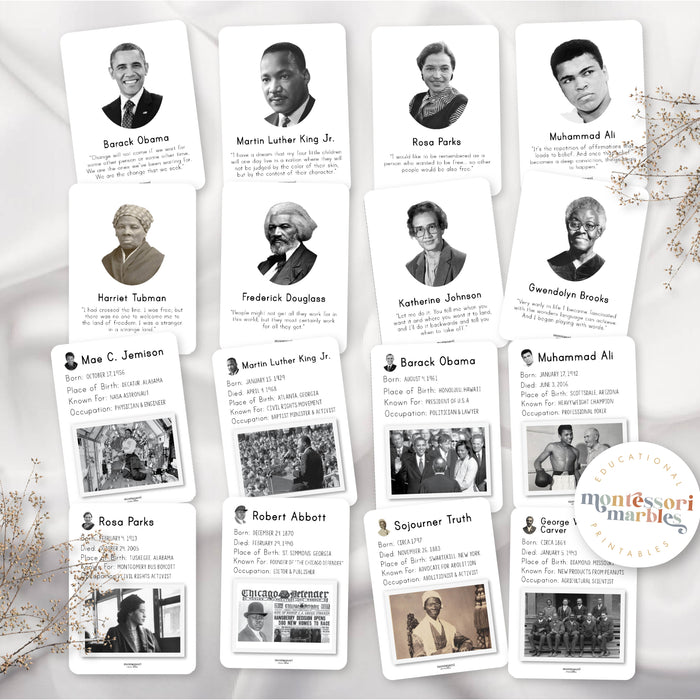 Black History Month Fact Cards