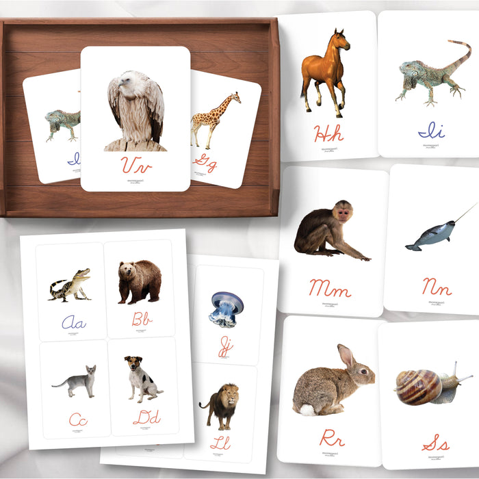 Beginning Sounds Flash Cards in Cursive