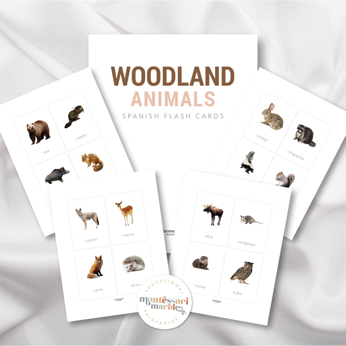 Animales del Bosque Tarjetas Didácticas