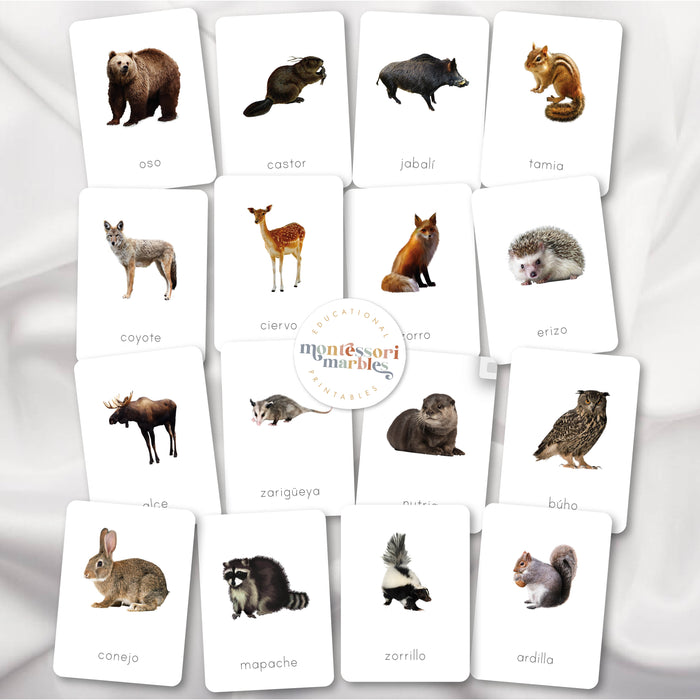 Animales del Bosque Tarjetas Didácticas
