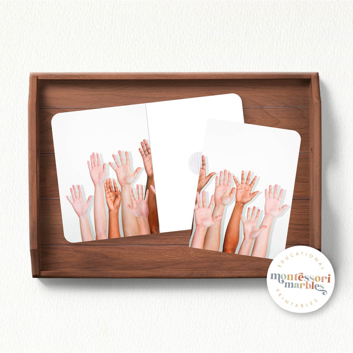 Diversity Complete the Pictures