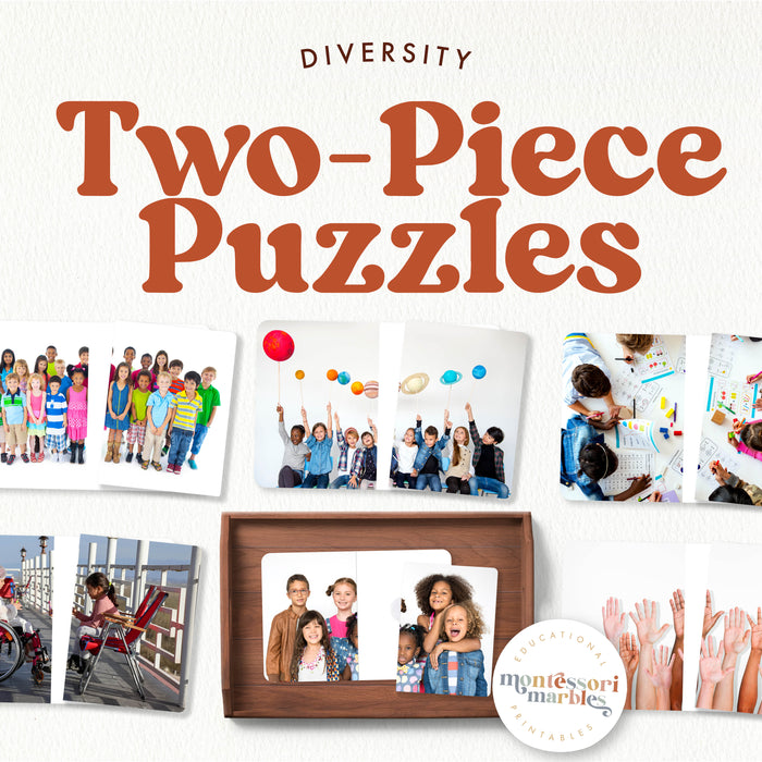 Diversity Complete the Pictures