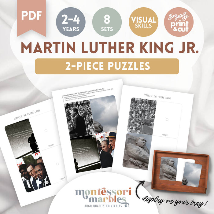 Martin Luther King Jr. Day Complete The Pictures