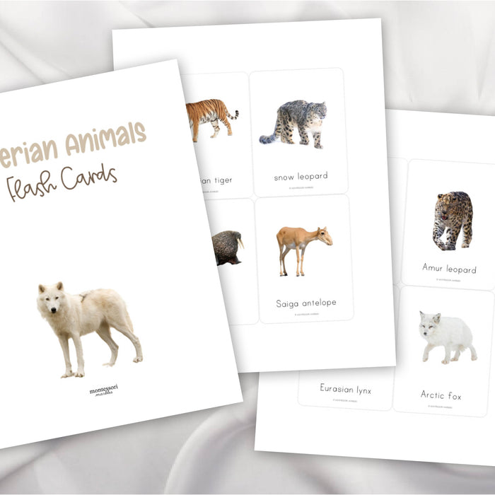 Siberian Animals Flash Cards
