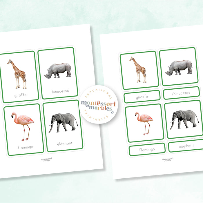 Animals of Africa Nomenclature Cards