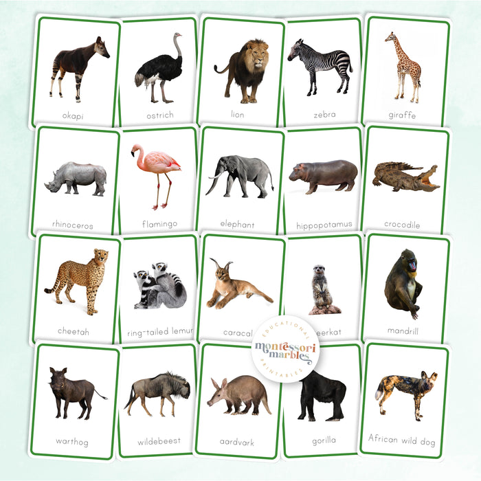 Animals of Africa Nomenclature Cards