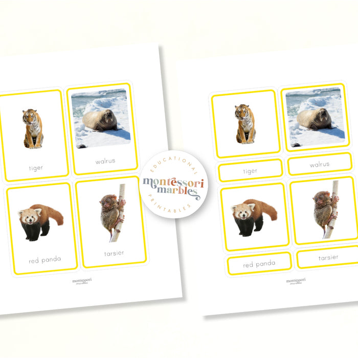 Animals of Asia Nomenclature Cards