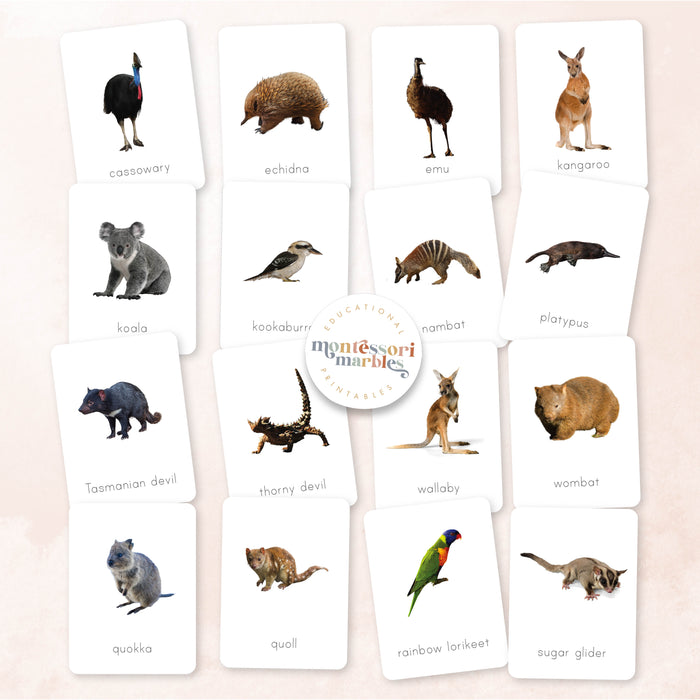 Australian Animals Flash Cards