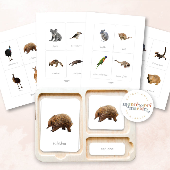 Australian Animals Nomenclature Cards