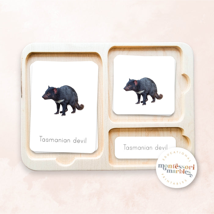 Australian Animals Nomenclature Cards