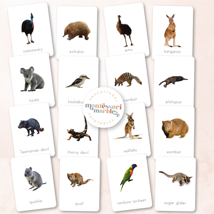 Australian Animals Nomenclature Cards