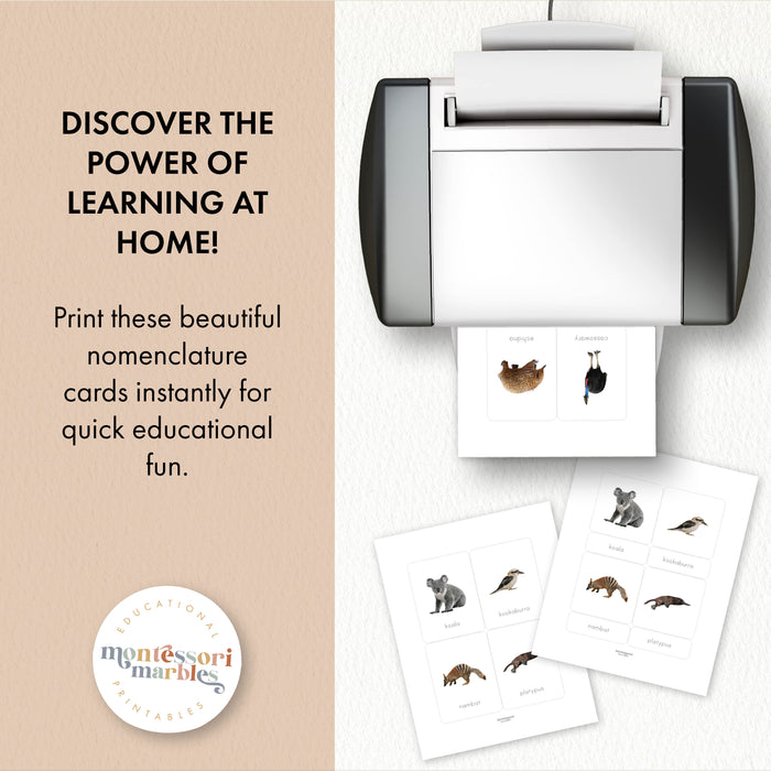 Australian Animals Nomenclature Cards