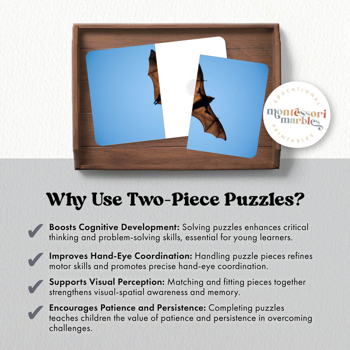 Bats Complete the Pictures