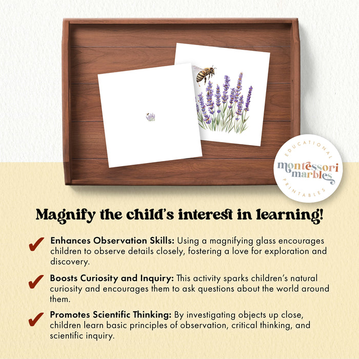 Bee & Honey Magni Match