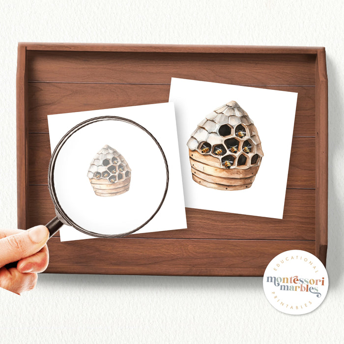 Bee & Honey Magni Match