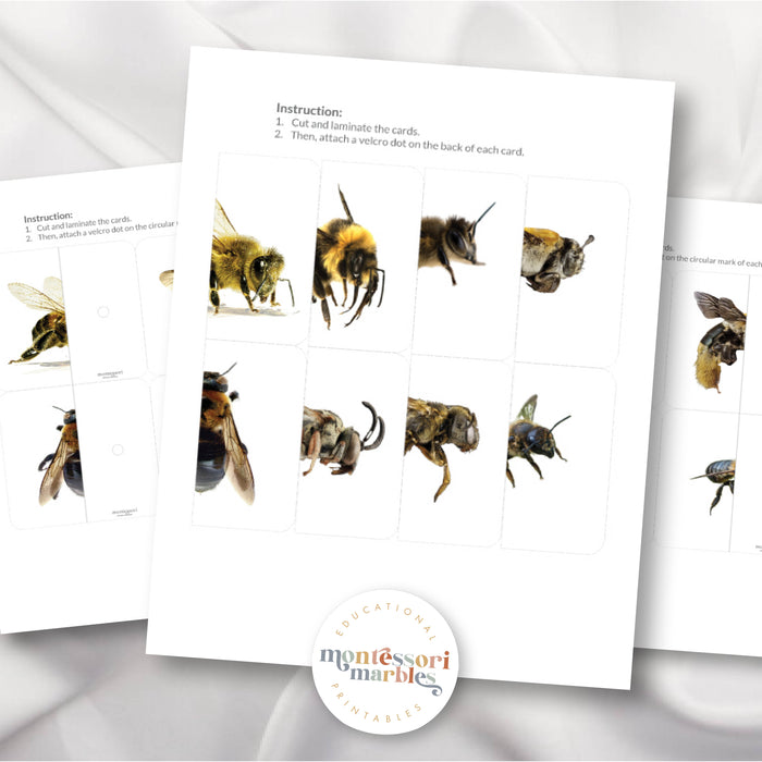 Bees Symmetry Puzzles