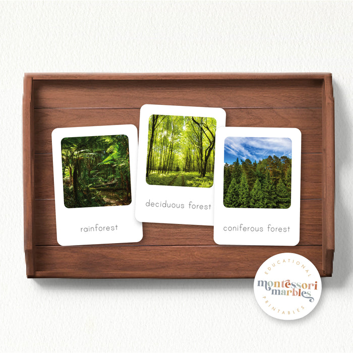 Biomes Flash Cards