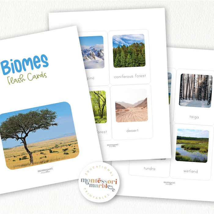 Biomes Flash Cards