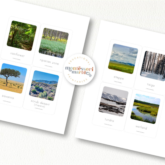 Biomes Flash Cards