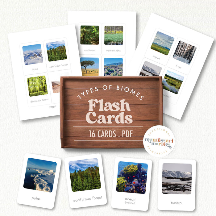 Biomes Flash Cards