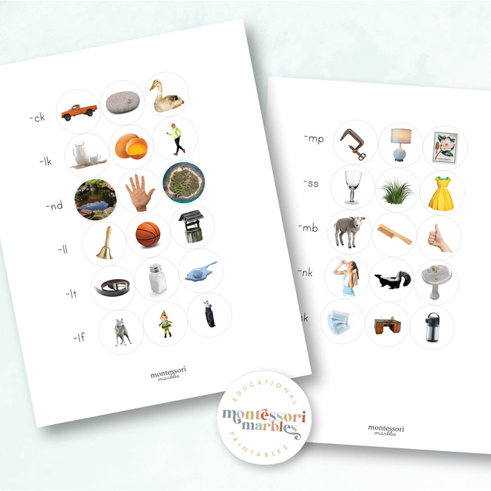 Montessori Blue Series Sorting Cards | Ending Blends