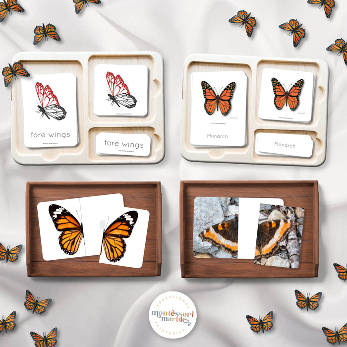 Butterfly Mini Bundle
