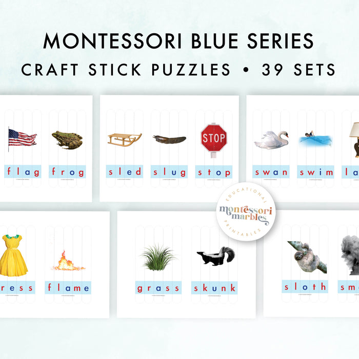 MONTESSORI BLUE SERIES Craft Stick Puzzles
