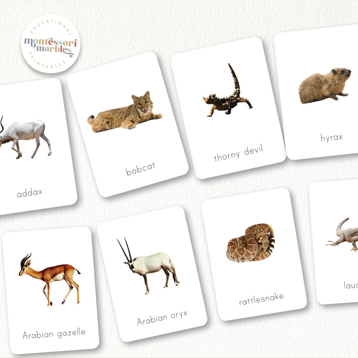 Desert Animals Flash Cards