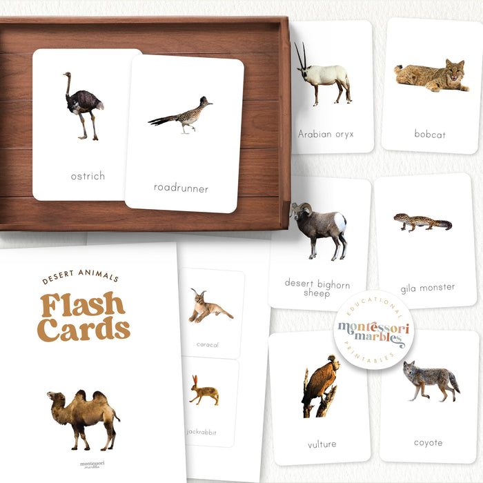 Desert Animals Flash Cards