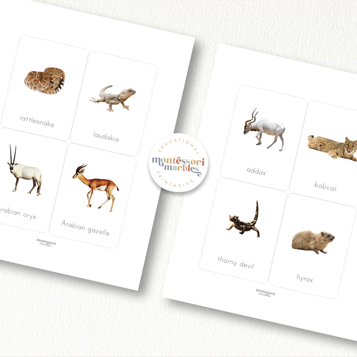 Desert Animals Flash Cards