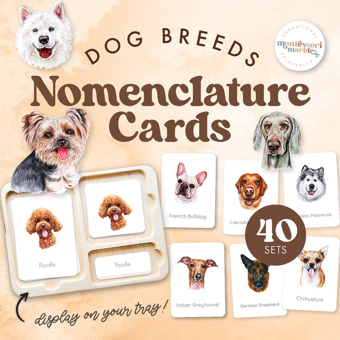 Dogs Nomenclature Cards