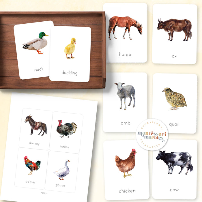 Farm Animals Flash Cards