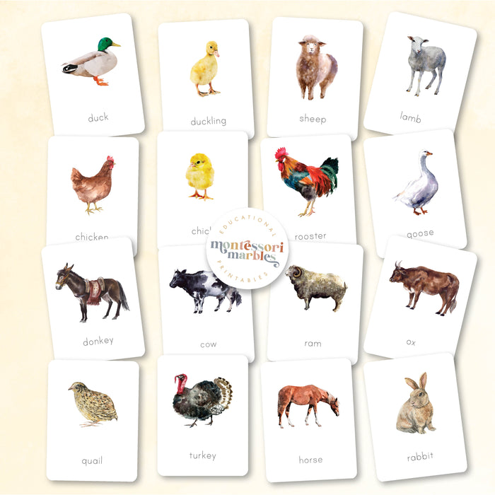 Farm Animals Nomenclature Cards