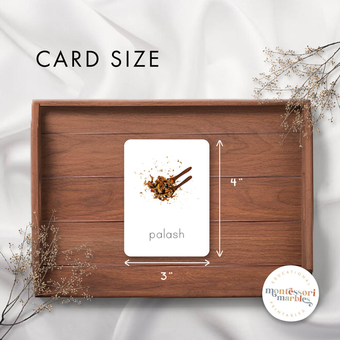 Holi Festival Nomenclature Cards