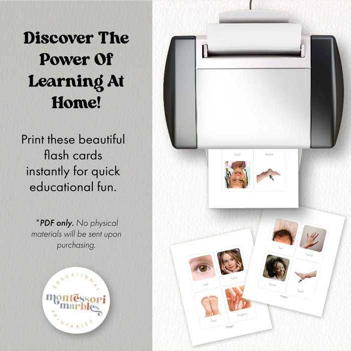 Human Body Flash Cards