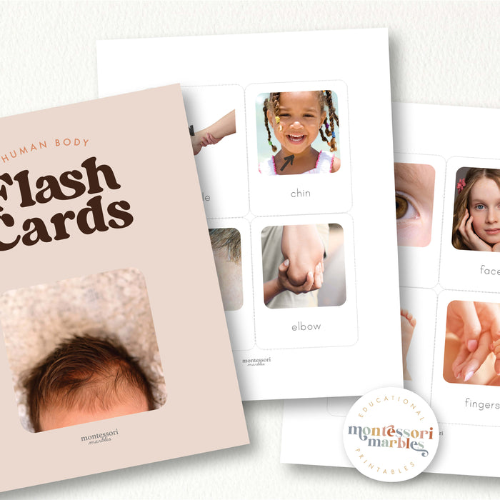 Human Body Flash Cards