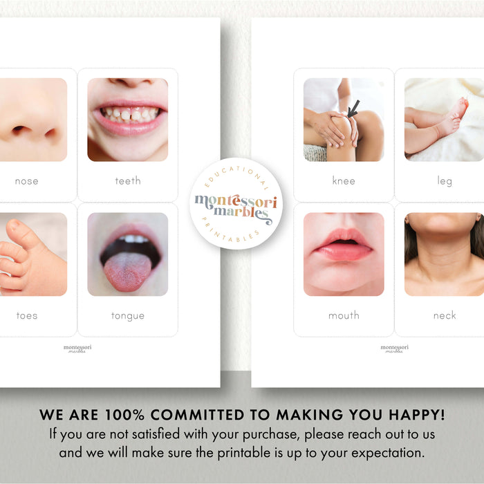 Human Body Flash Cards