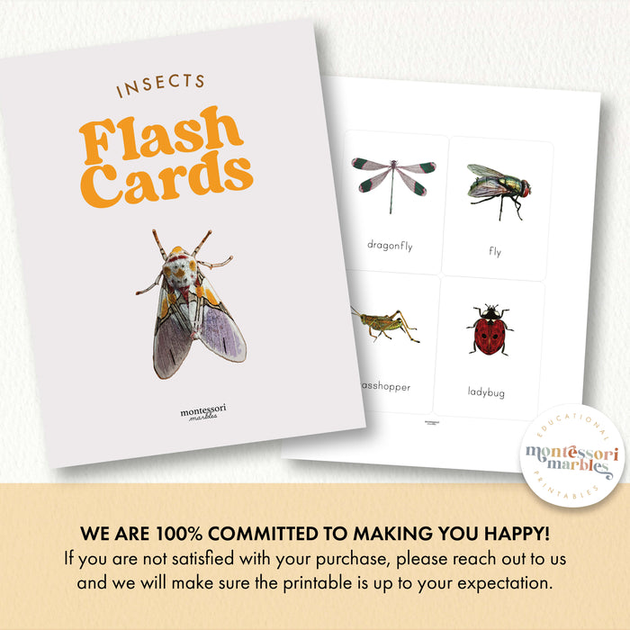 Insects Flash Cards