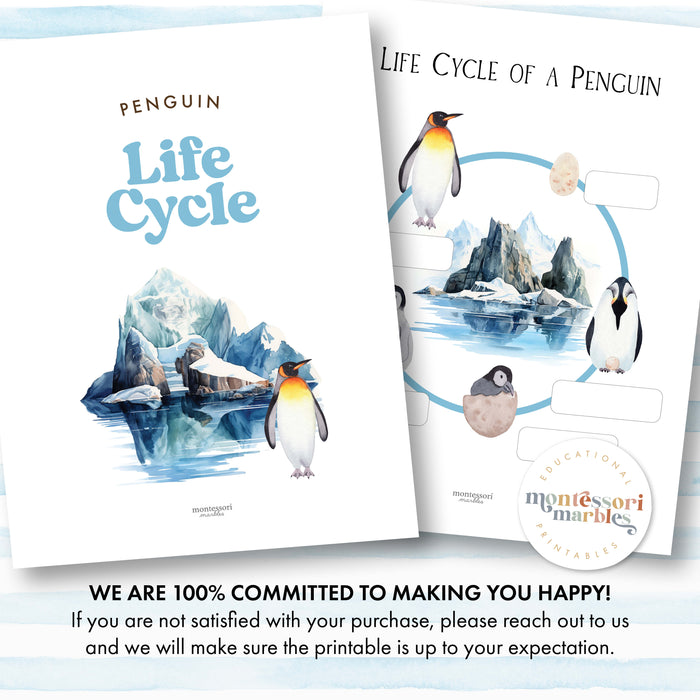 Penguin Life Cycle