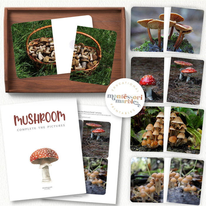 Mushroom Complete The Pictures