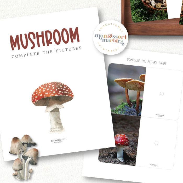 Mushroom Complete The Pictures