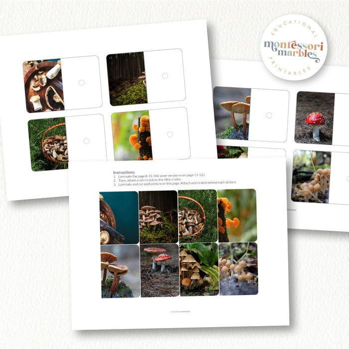 Mushroom Complete The Pictures