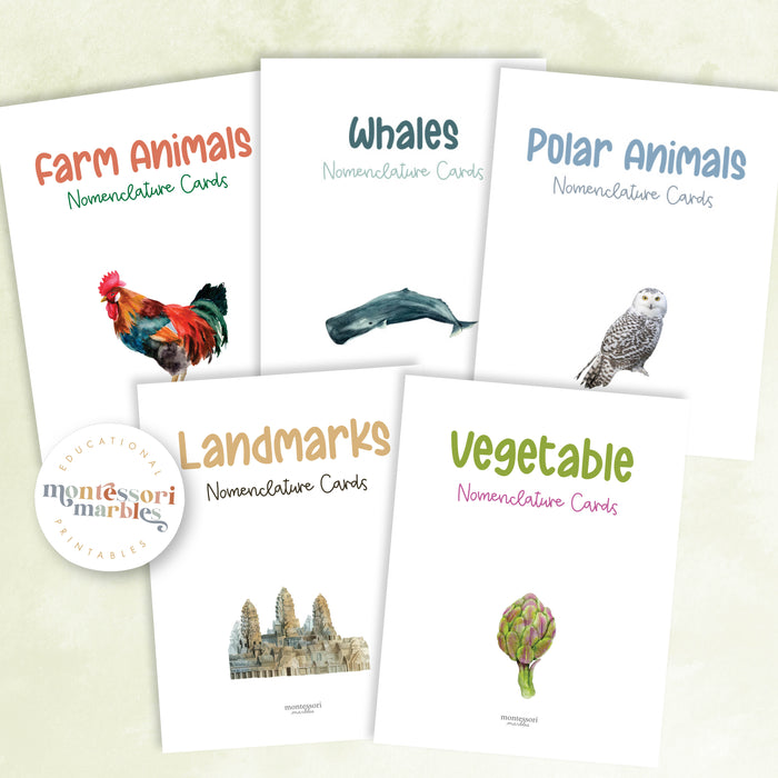 Montessori Nomenclature Cards Mega Bundle 1