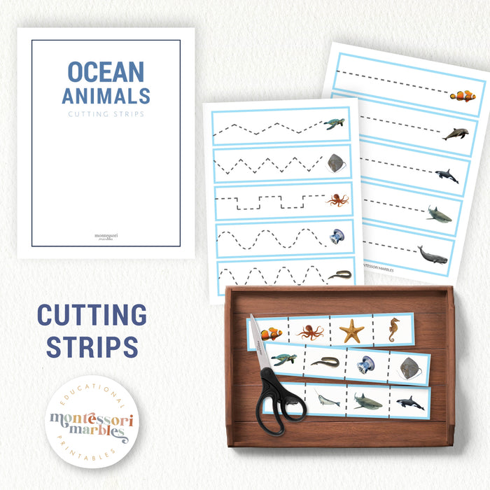 Ocean Animals Mini Bundle
