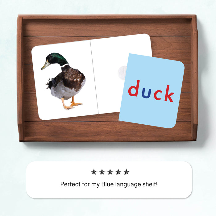 Montessori Blue Series Pairing Cards